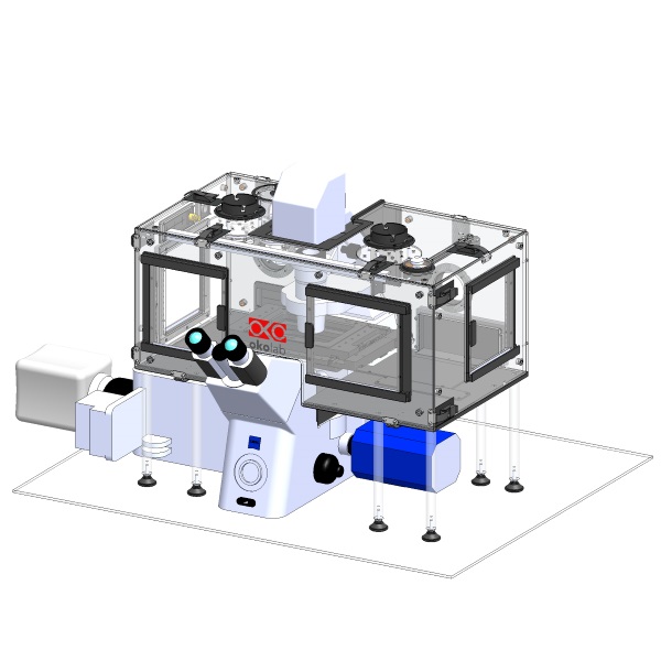 Spinning Disk Confocal-02.JPG