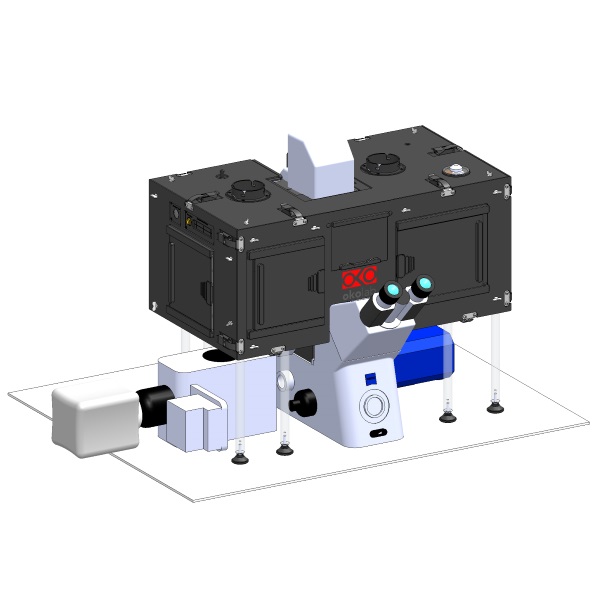 Spinning Disk Confocal-05.JPG